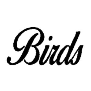 Birds